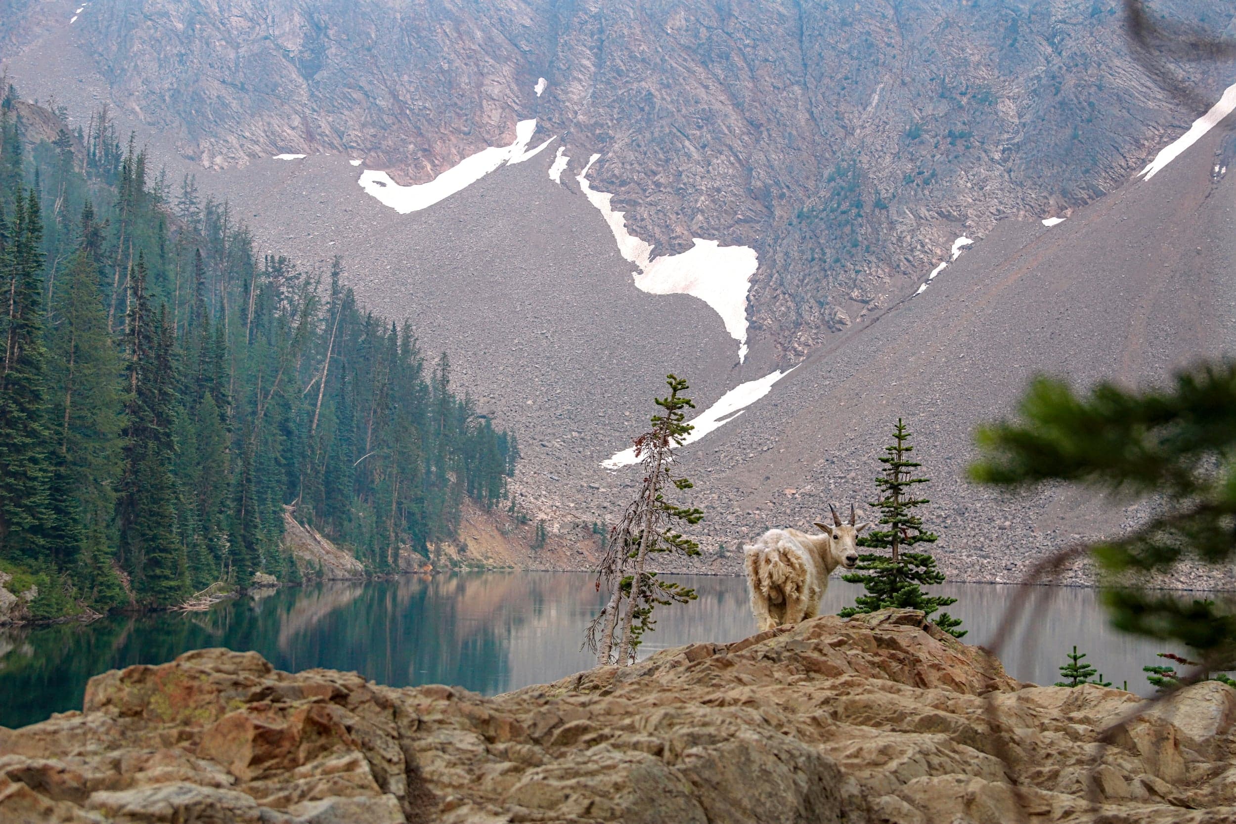 The Local — Colchuck Lake, WA