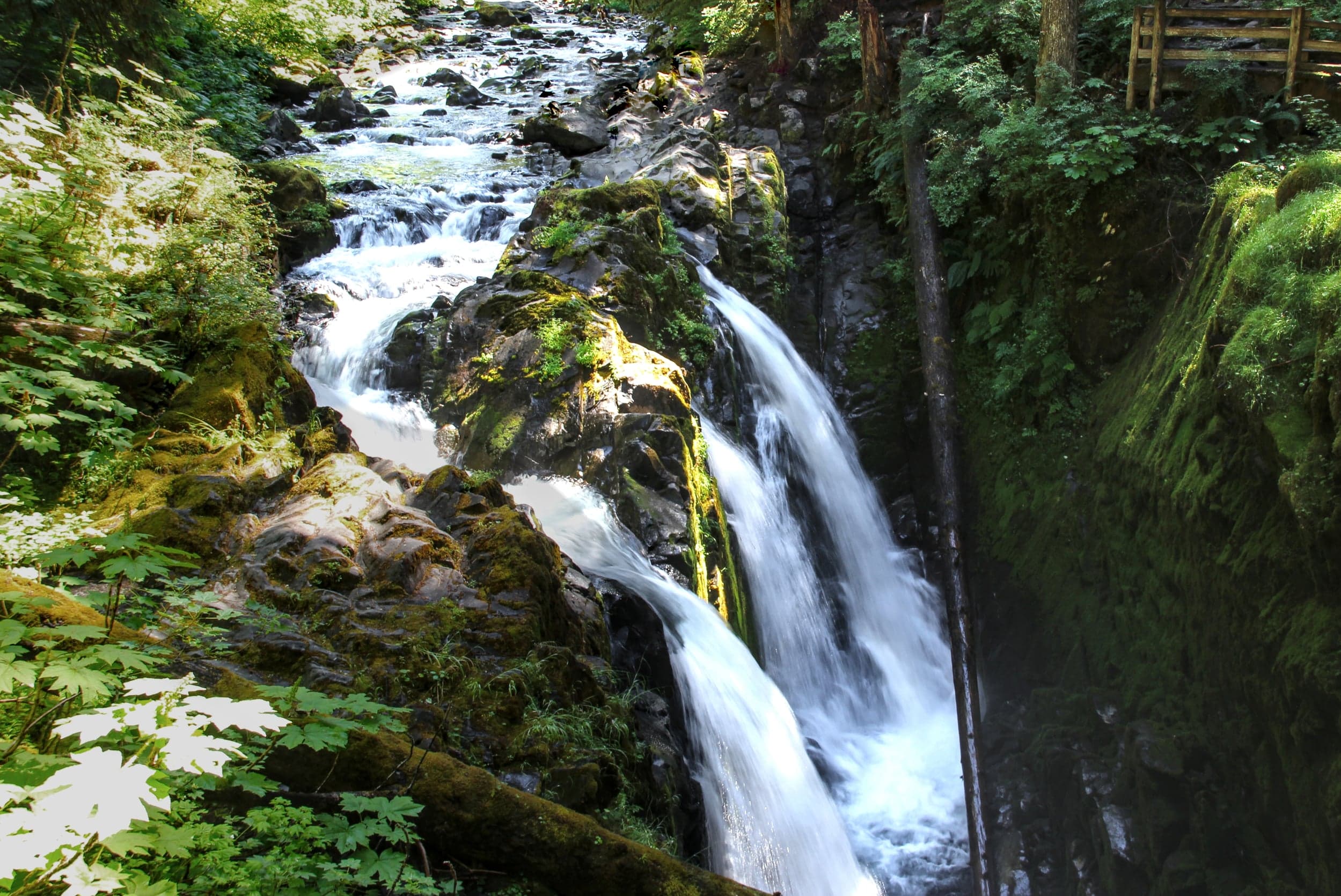 Sol Duc — Olympic NP, WA